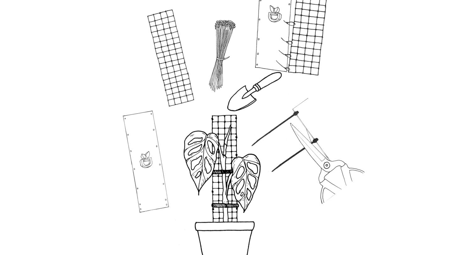 kIt 3 tutores 55cm para armar