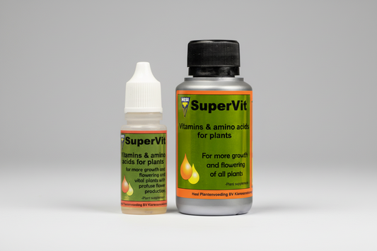 Vitaminas y Aminoácidos