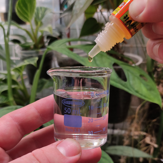 Vitaminas y Aminoácidos