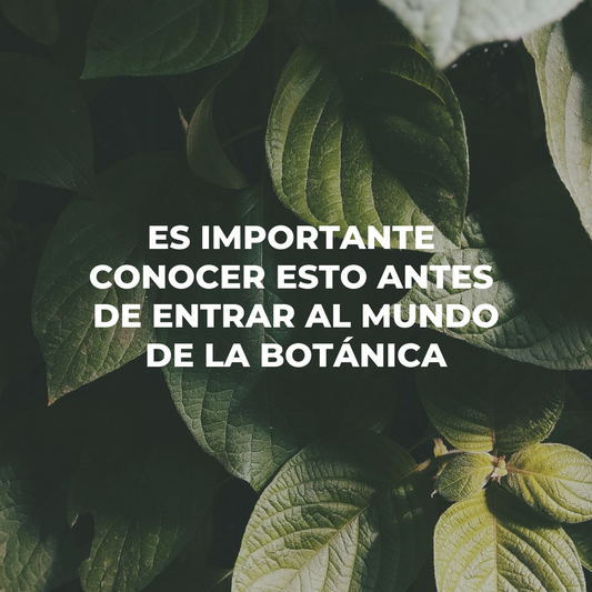 Nomenclatura Botánica - Origen, Reglas y Utilidad en la ciencia