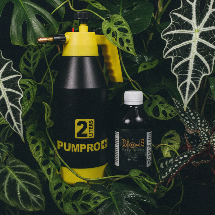 Banner Combo ajustado final