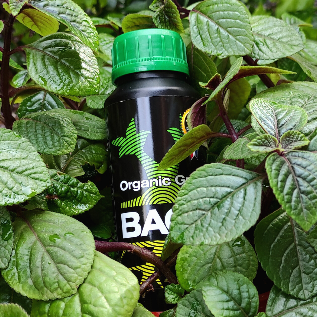 Organic Grow 500ml