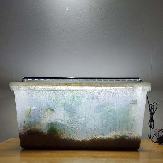 Luz propagación 60 cm