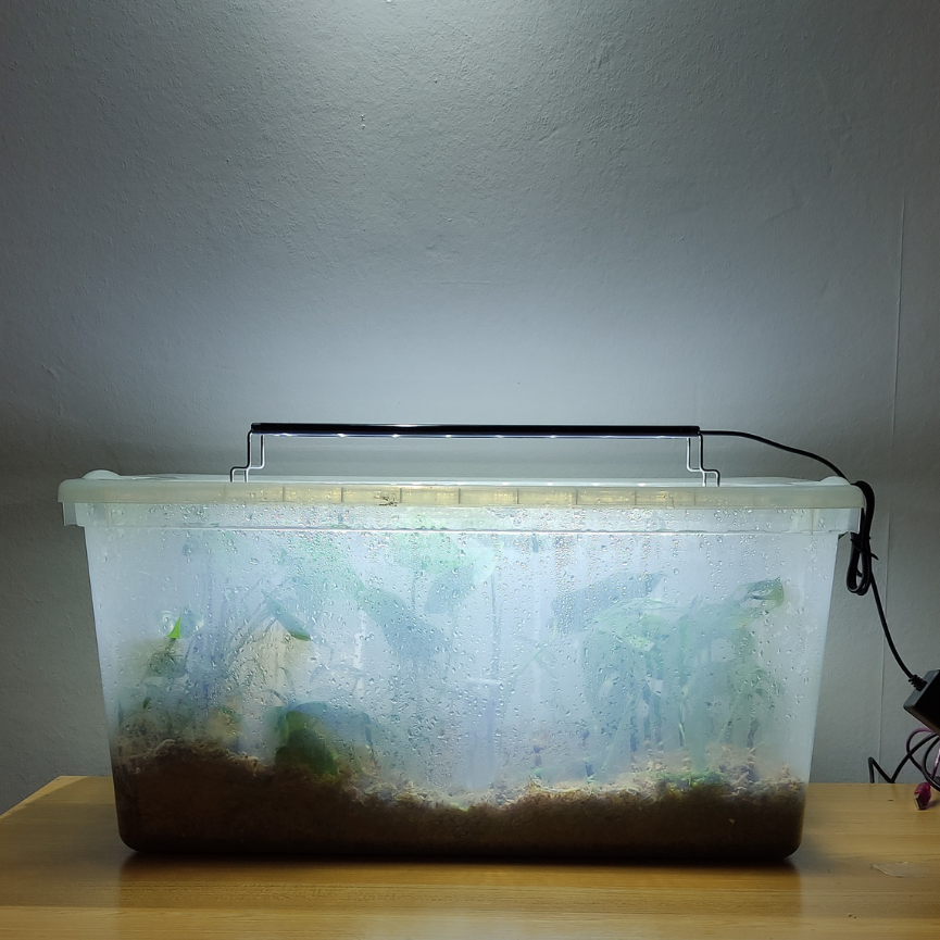 Led crecimiento 30 cm 4w.