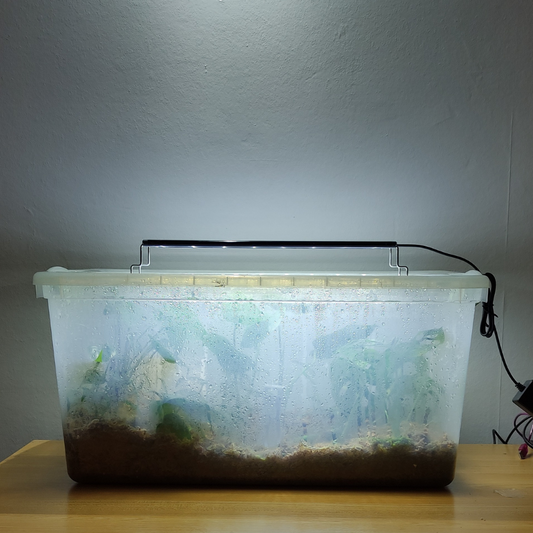 Led crecimiento 30 cm 4w.