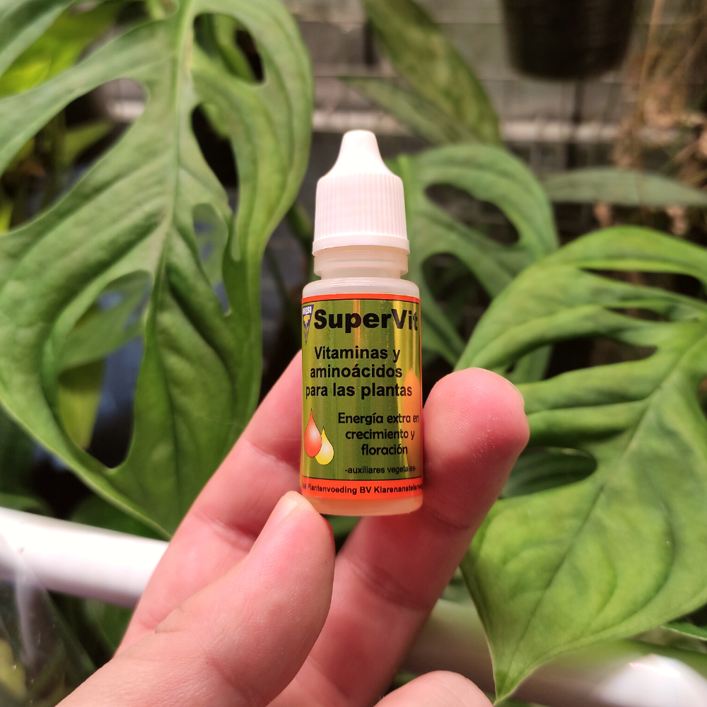 Vitaminas y Aminoácidos