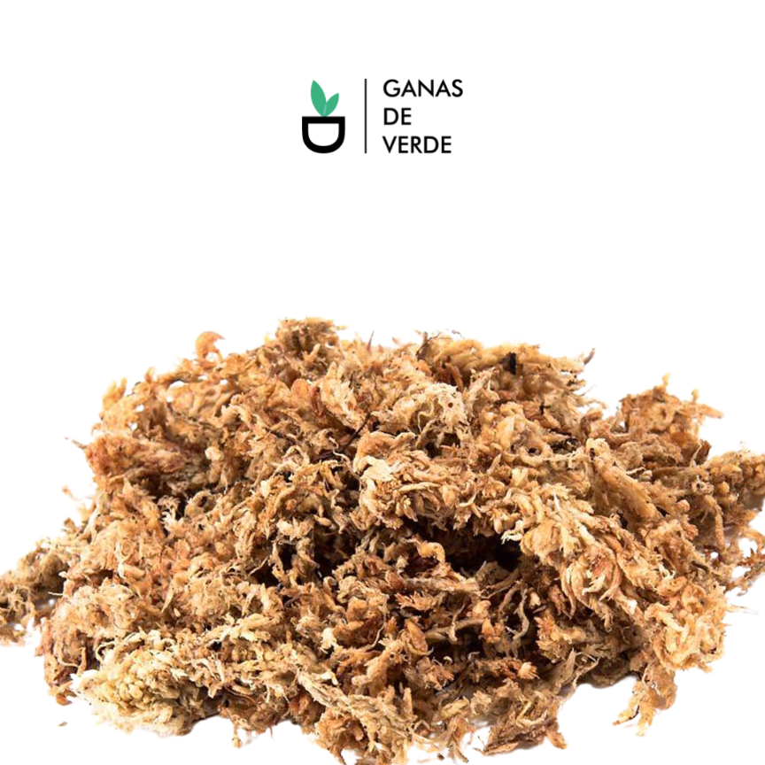 Musgo Sphagnum 9 litros - Ganas de Verde