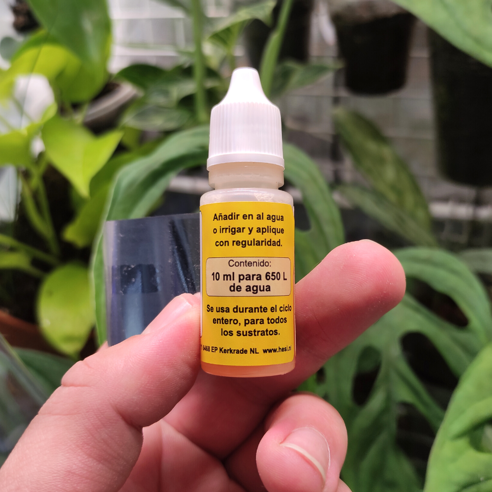 Vitaminas y Aminoácidos