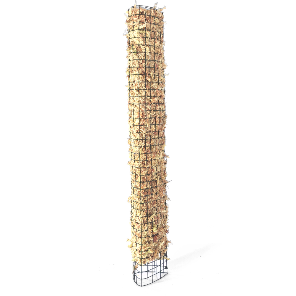 Tutor musgo rígido 55cm
