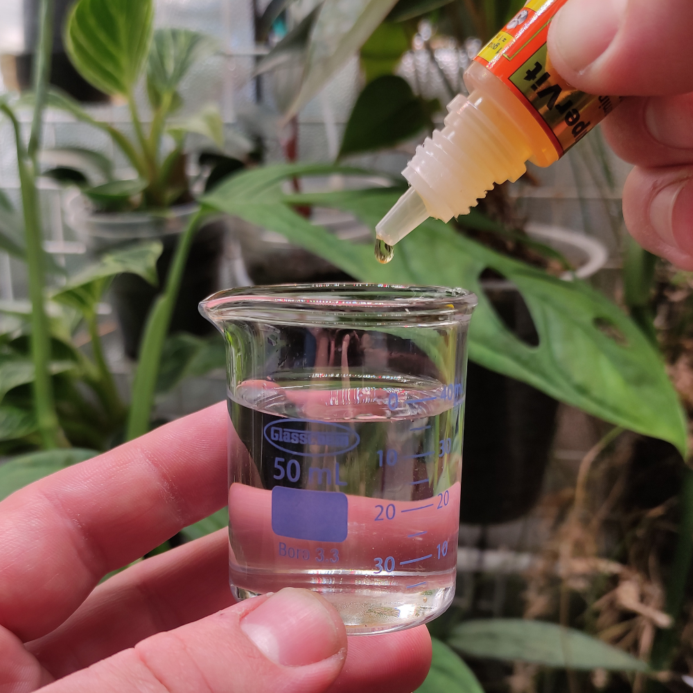 Vitaminas y Aminoácidos